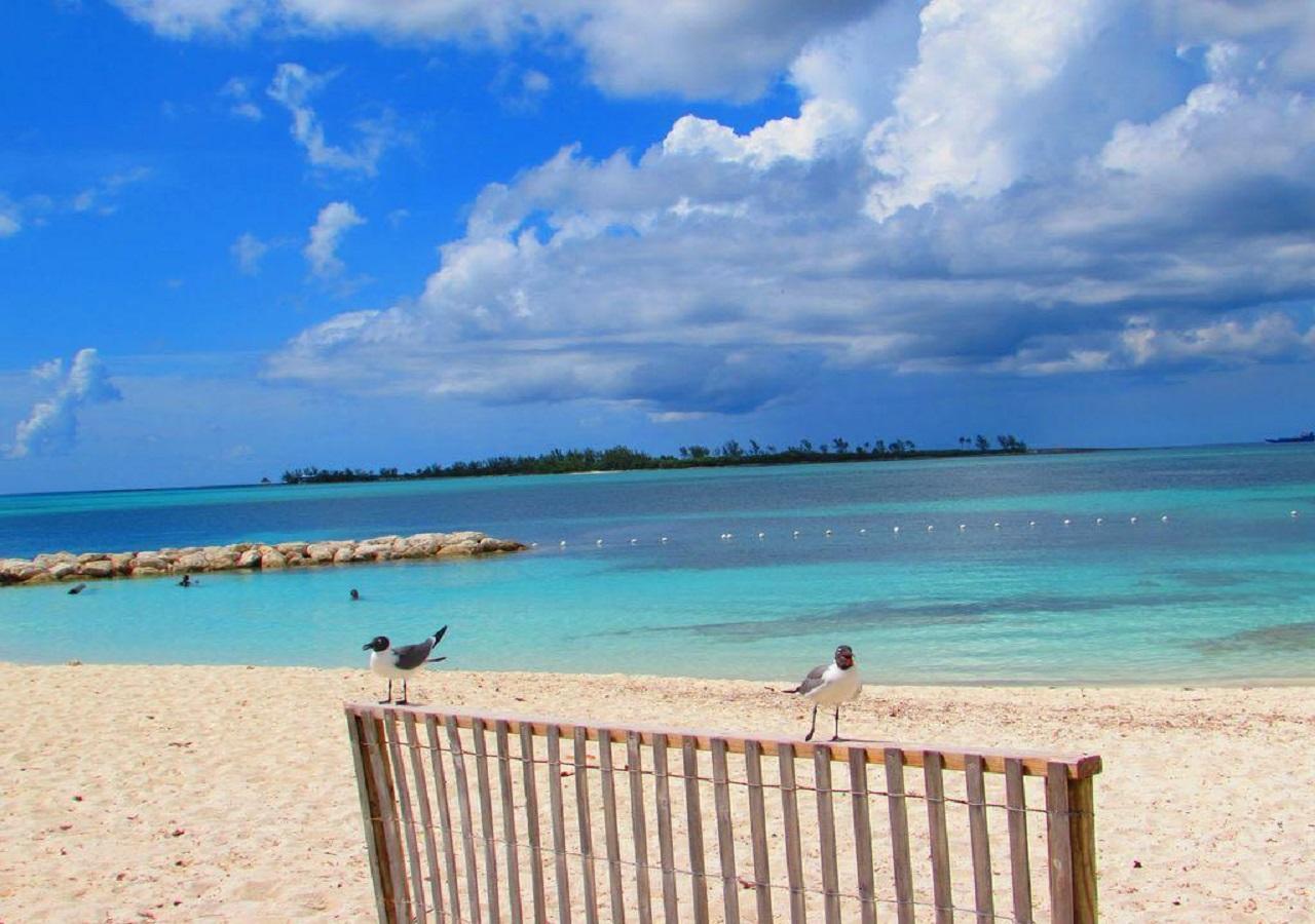 The Oasis Retreat Apartman Nassau Kültér fotó